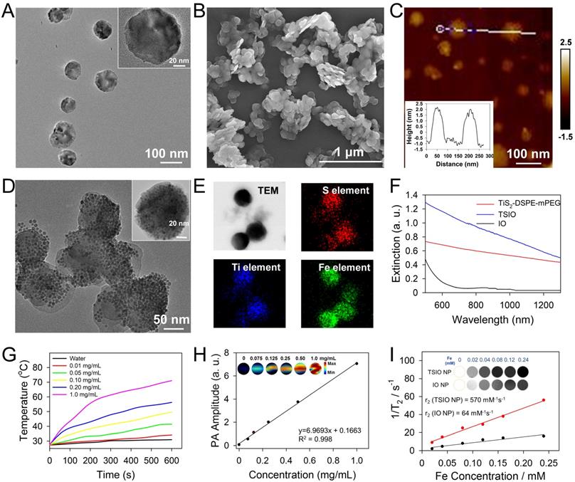 Theranostics Image