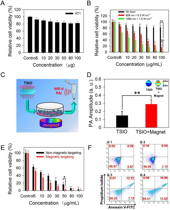 Theranostics Image