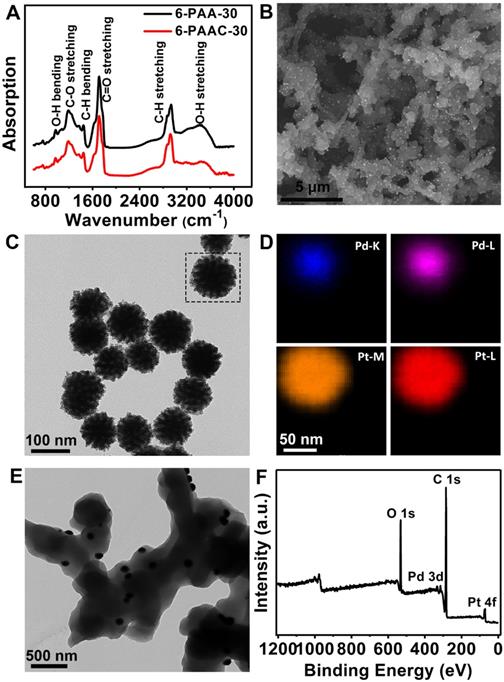 Theranostics Image