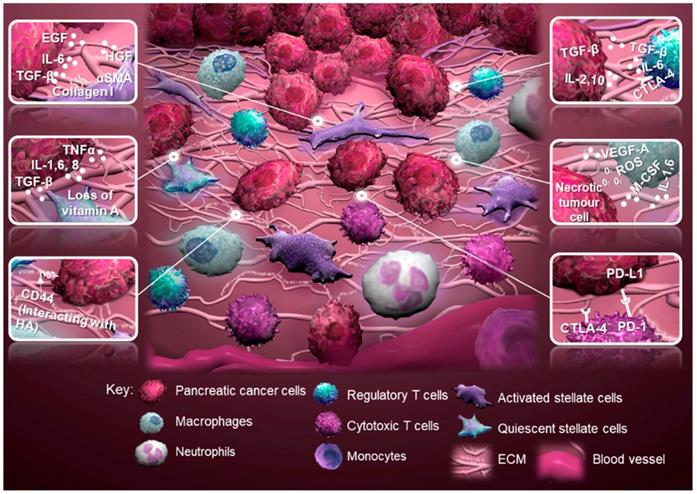 Theranostics Image