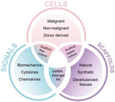 Theranostics Image