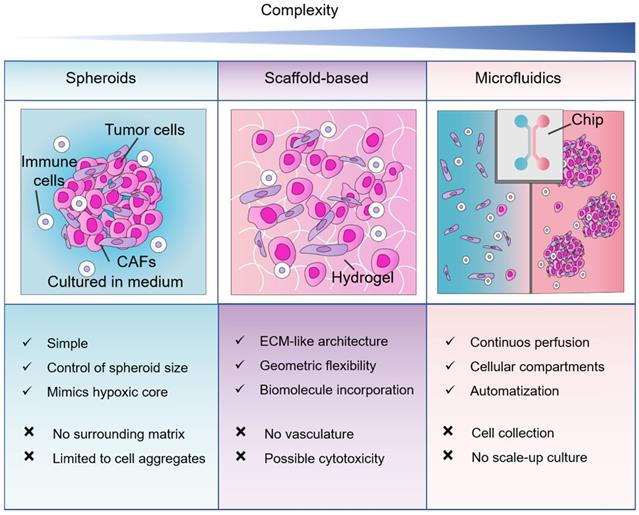 Theranostics Image