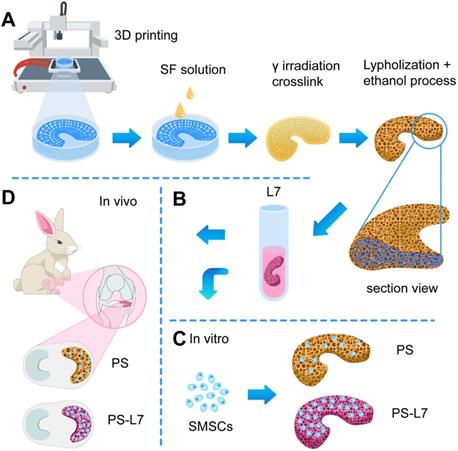 Theranostics Image