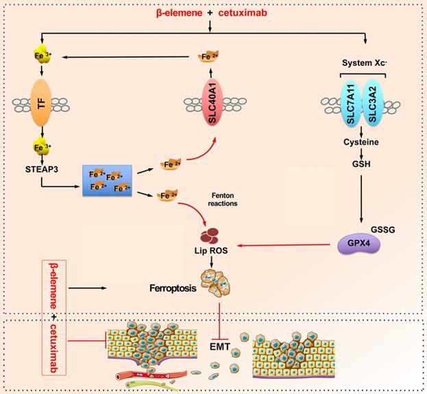 Theranostics Image