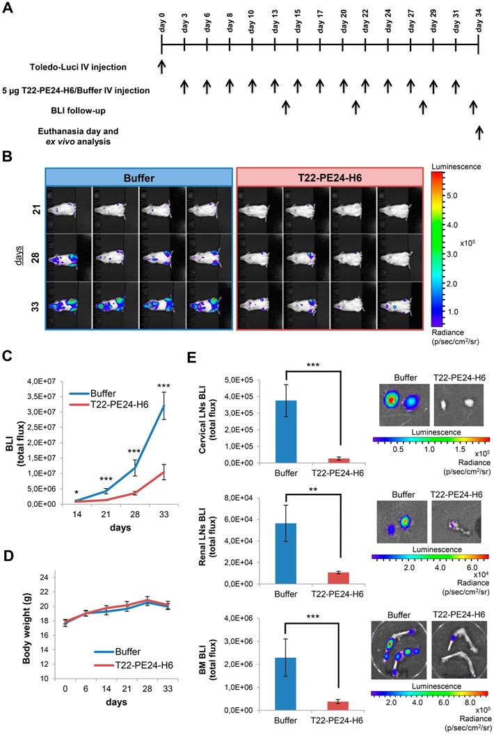 Theranostics Image