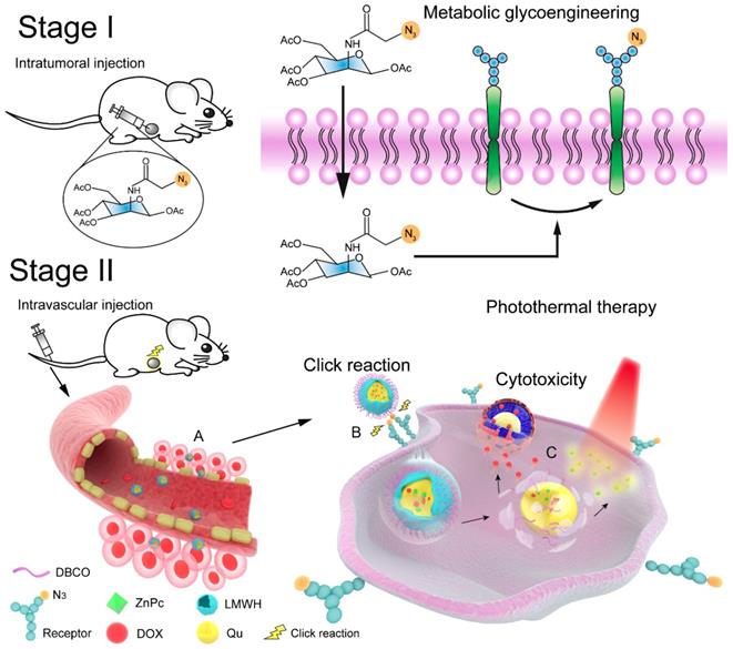 Theranostics Image