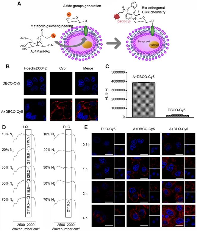 Theranostics Image