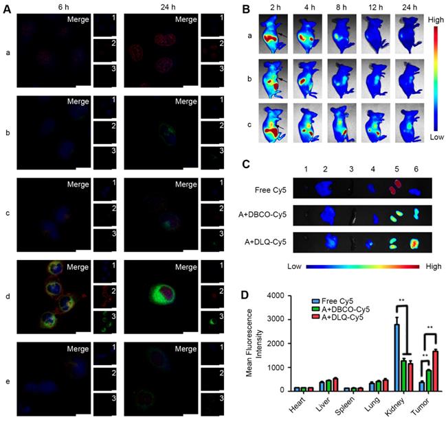 Theranostics Image