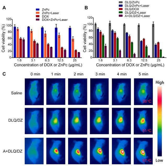 Theranostics Image