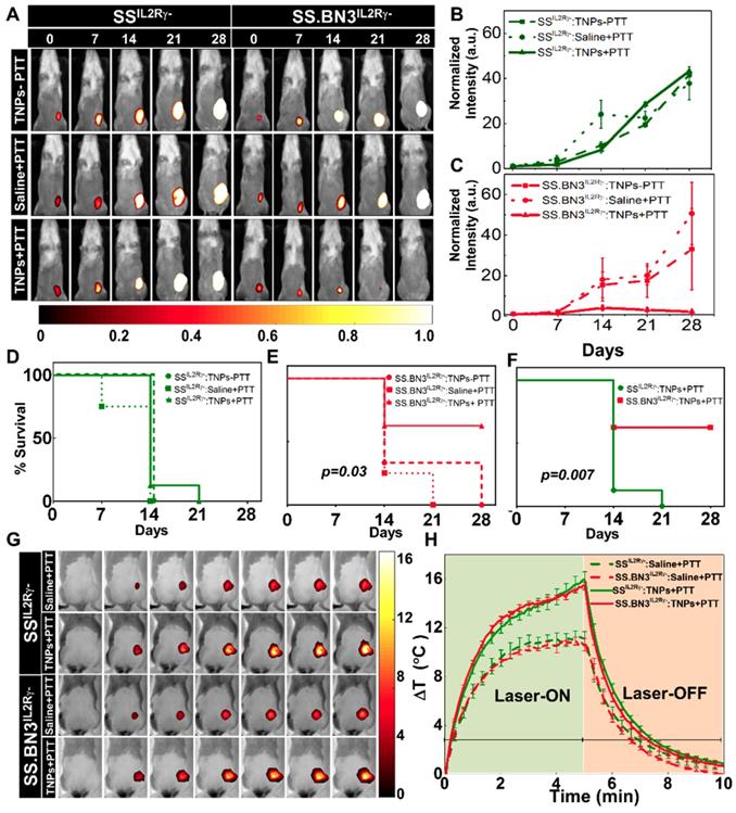 Theranostics Image