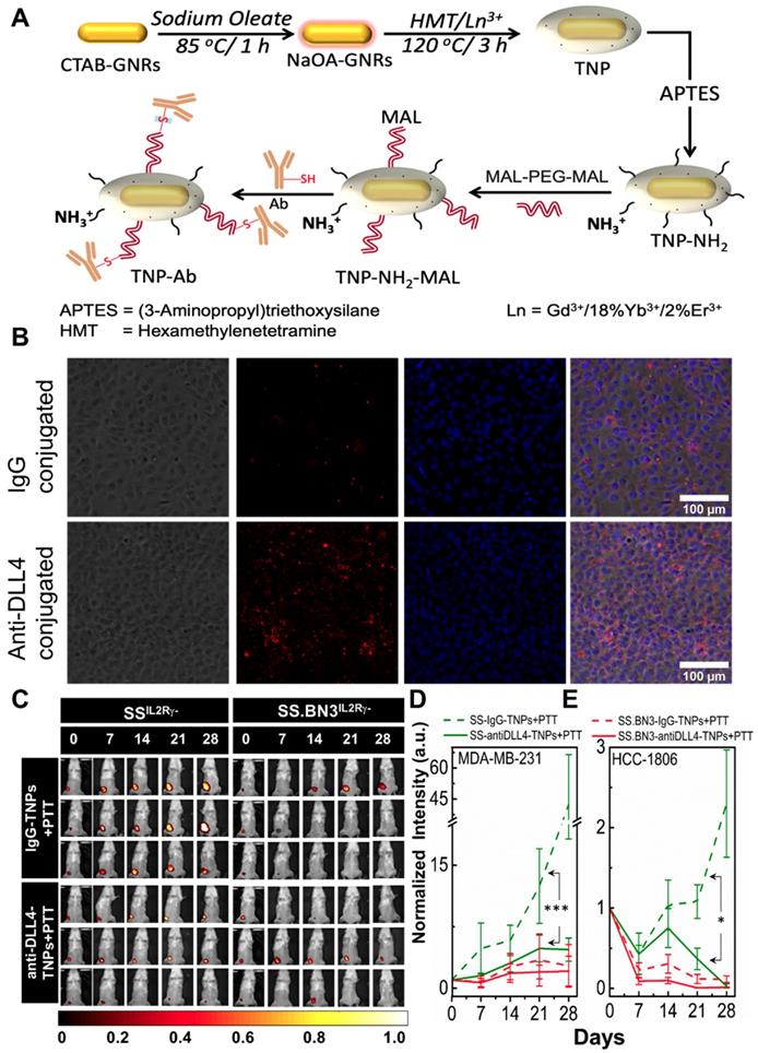 Theranostics Image