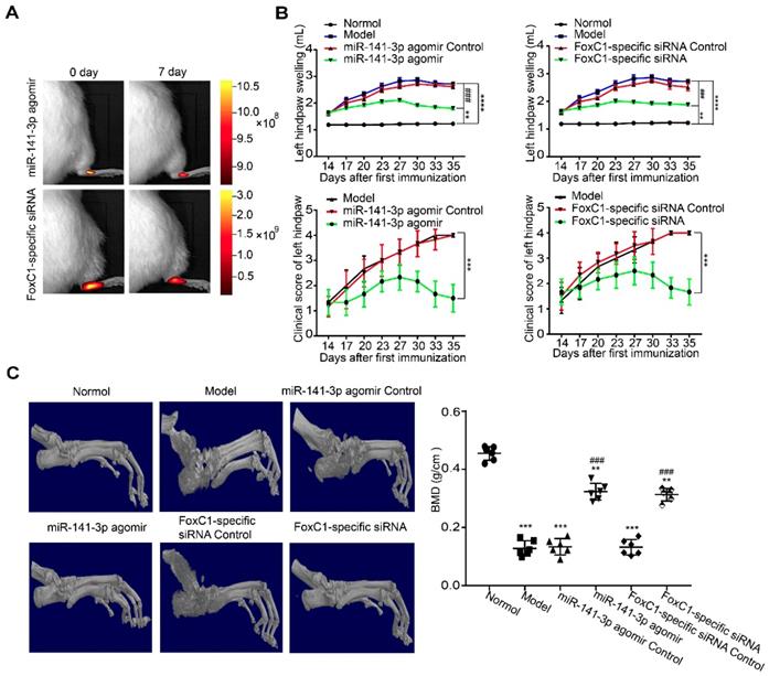 Theranostics Image