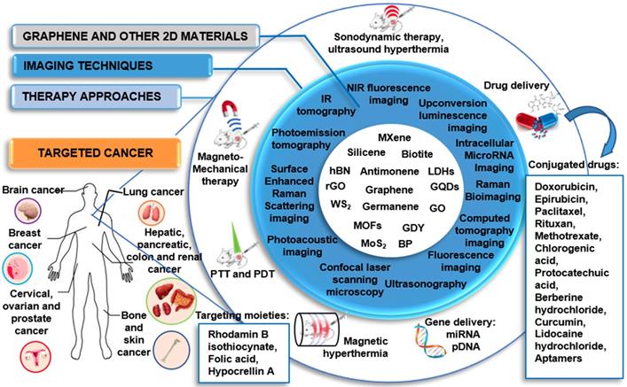 Theranostics Image