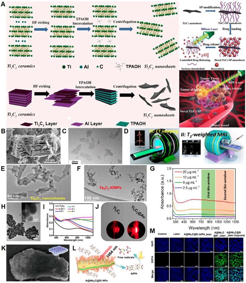 Theranostics Image