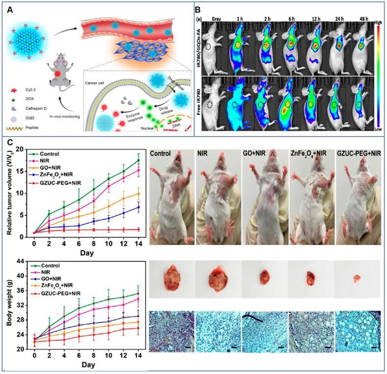 Theranostics Image