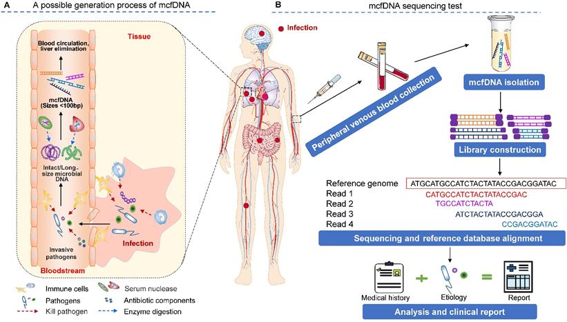 Theranostics Image