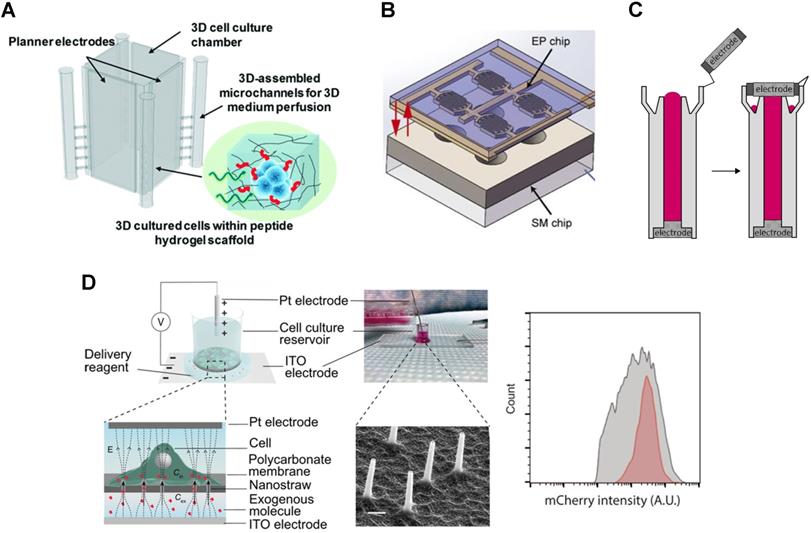 Theranostics Image