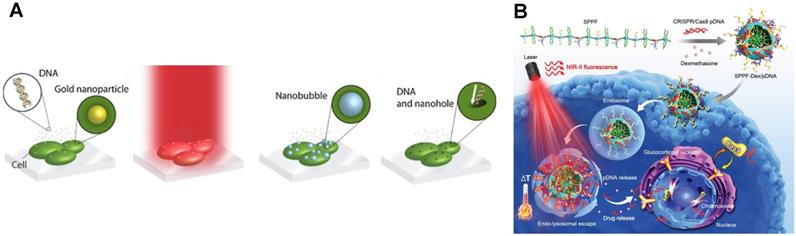 Theranostics Image