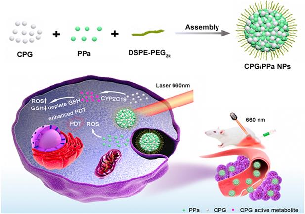 Theranostics Image