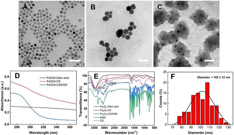 Theranostics Image