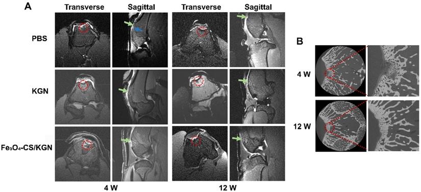 Theranostics Image