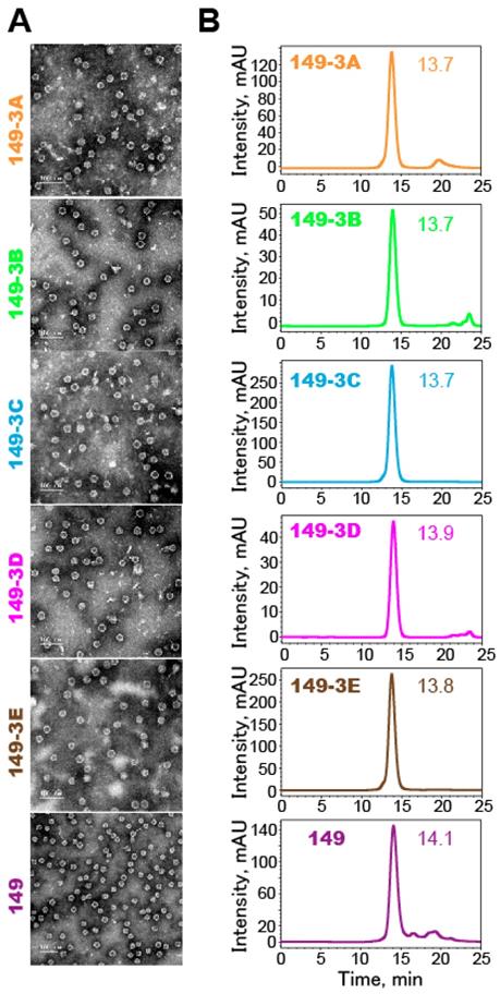 Theranostics Image