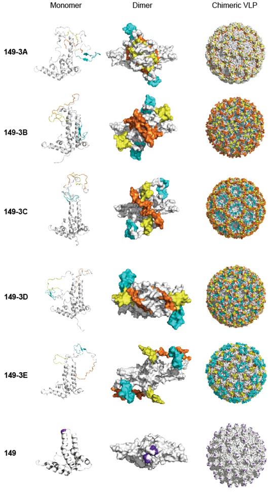 Theranostics Image