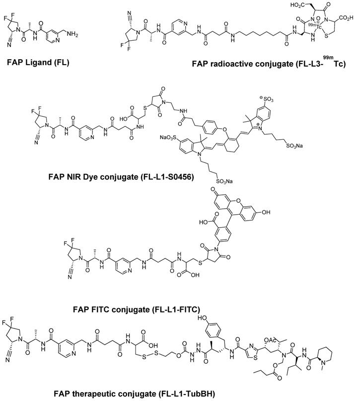 Theranostics Image