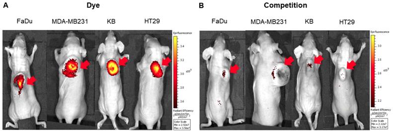 Theranostics Image