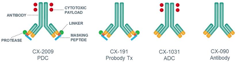 Theranostics Image