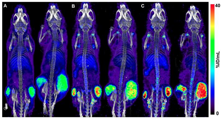 Theranostics Image