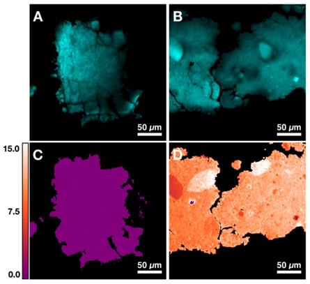 Theranostics Image