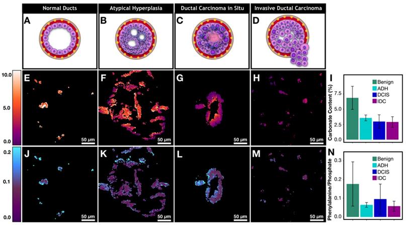 Theranostics Image