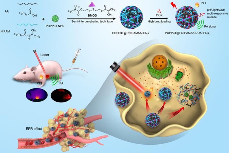 Theranostics Image