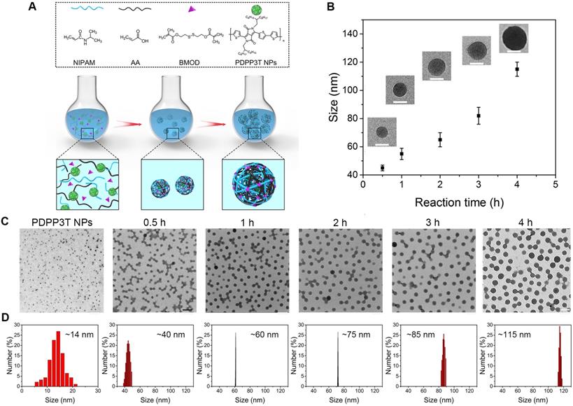 Theranostics Image