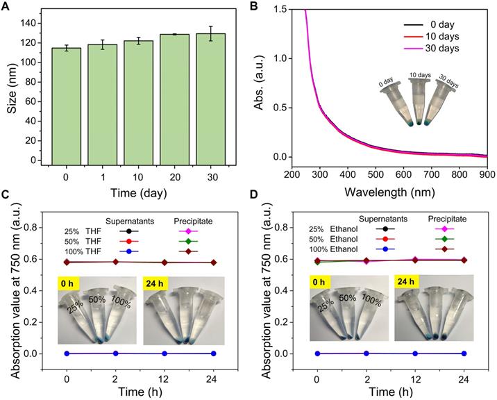 Theranostics Image