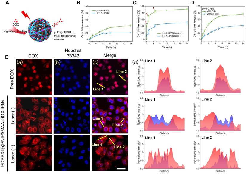 Theranostics Image