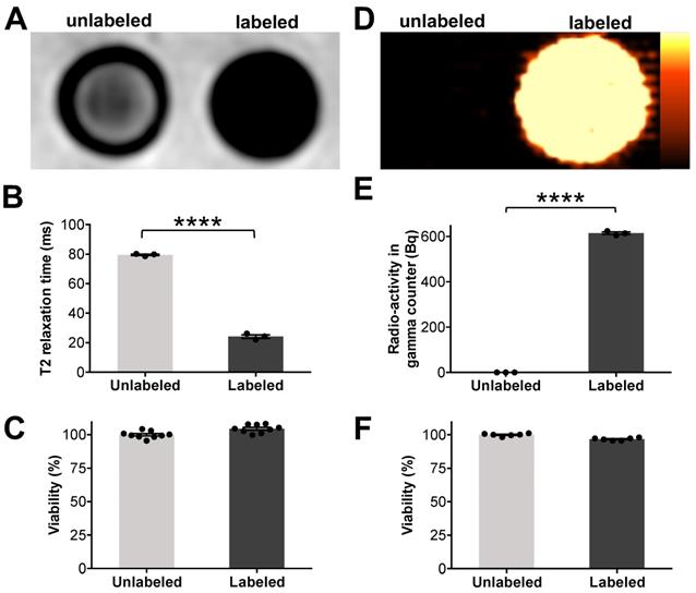 Theranostics Image