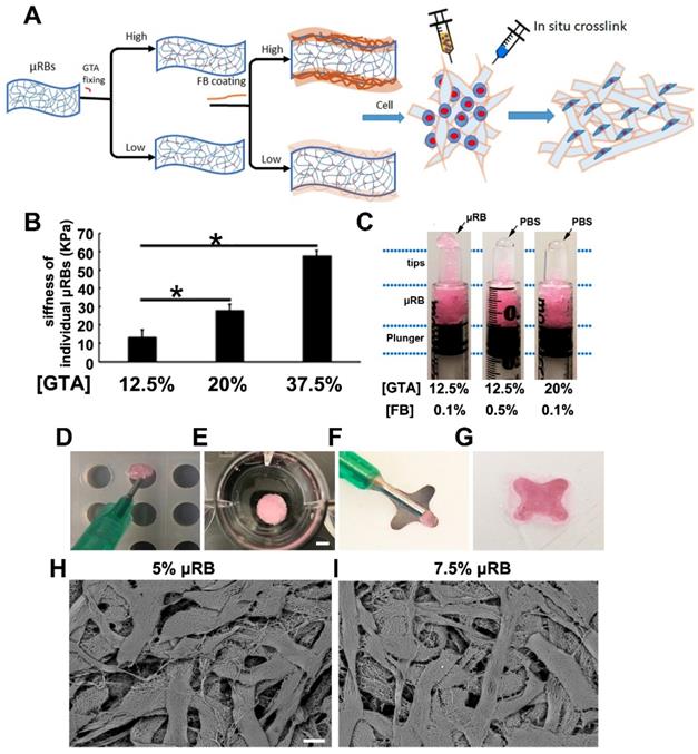 Theranostics Image