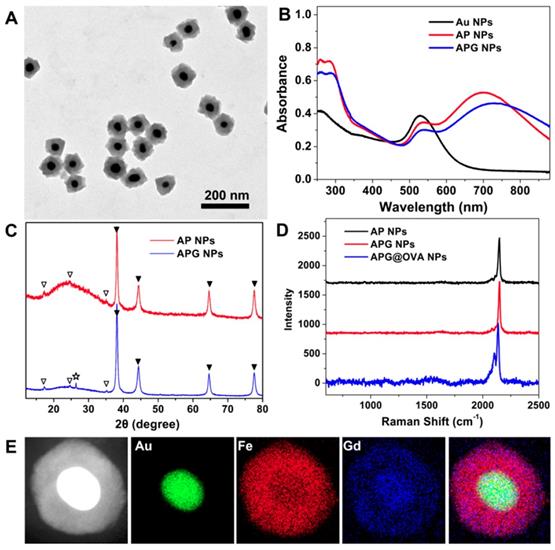 Theranostics Image