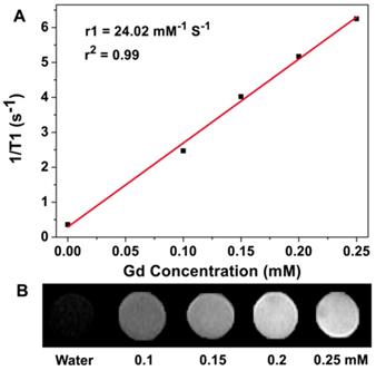 Theranostics Image