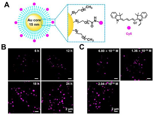 Theranostics Image