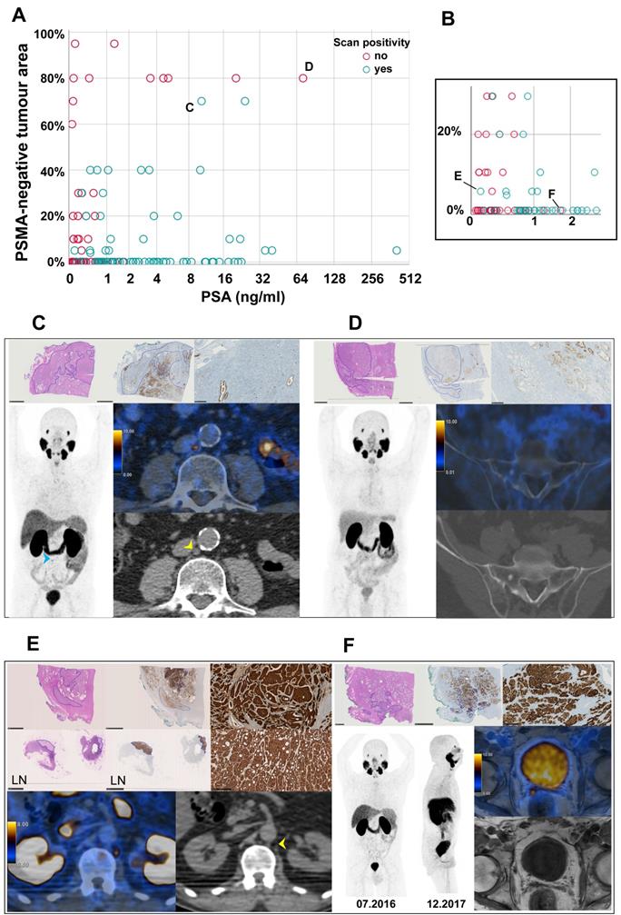 Theranostics Image