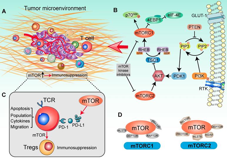 Theranostics Image