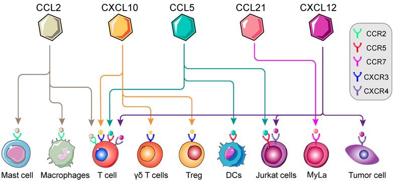 Theranostics Image