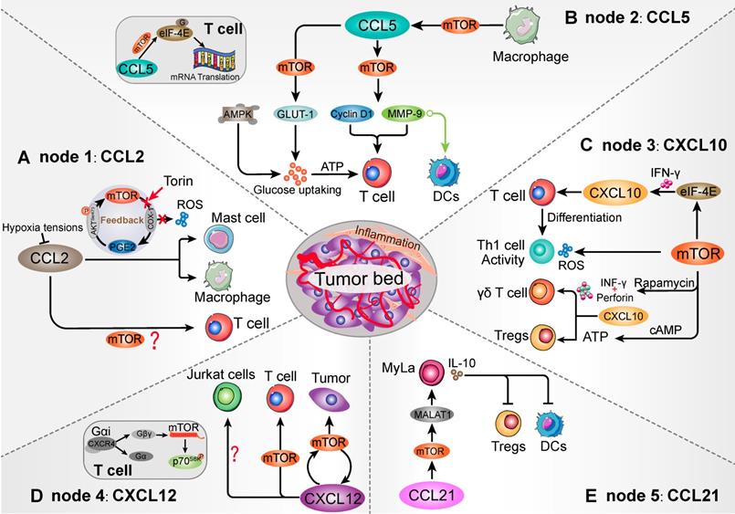 Theranostics Image