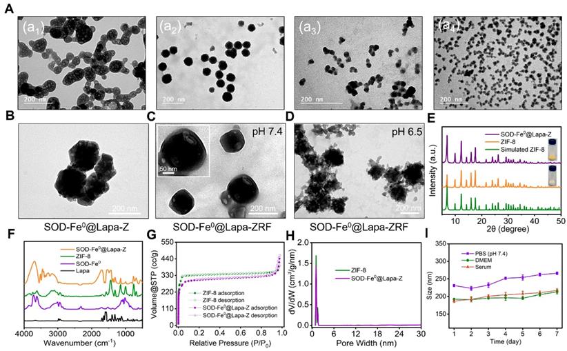 Theranostics Image