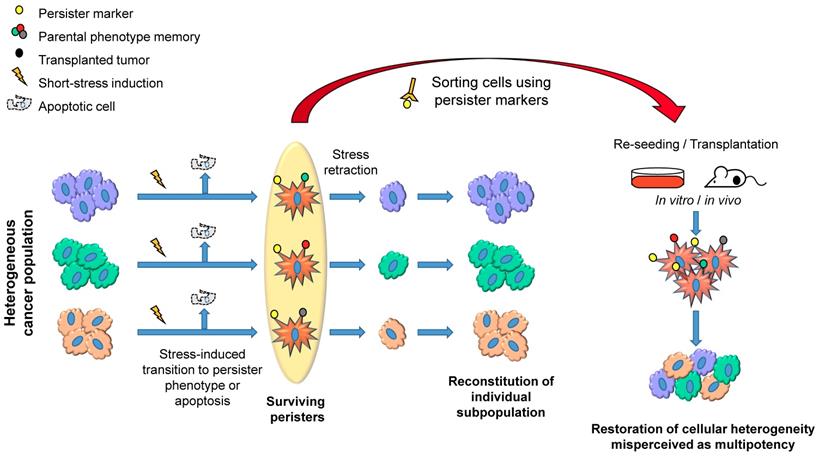 Theranostics Image