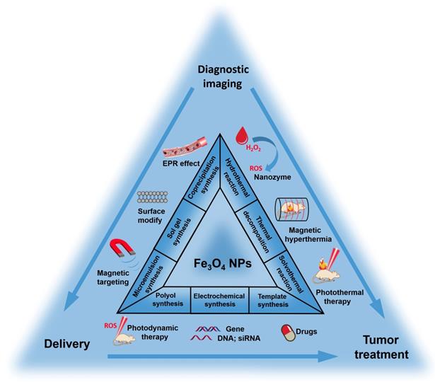 Theranostics Image