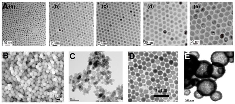 Theranostics Image